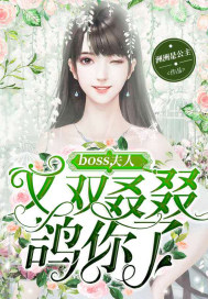 boss夫人又跑了免费阅读