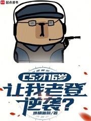 cs16中文版