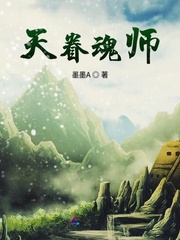 天梦魂师小说